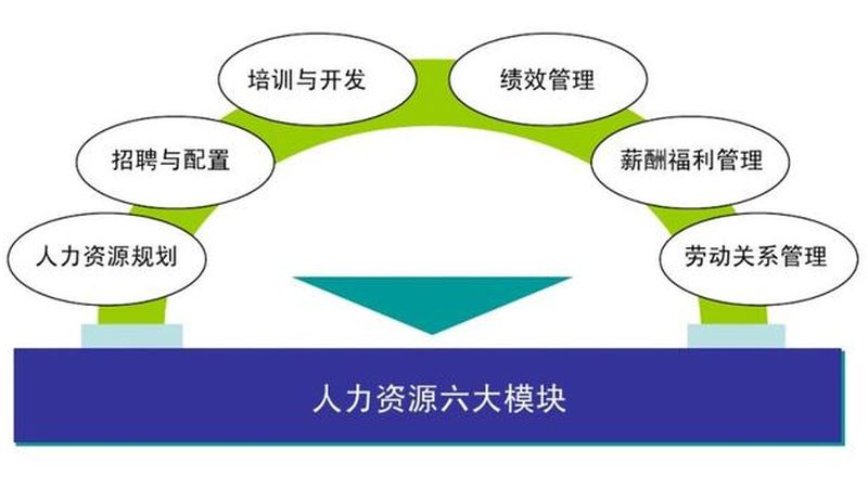 劳务派遣转正申请书：如何撰写，关键要素解析