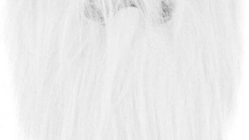 求职背景调查，企业到底在查什么